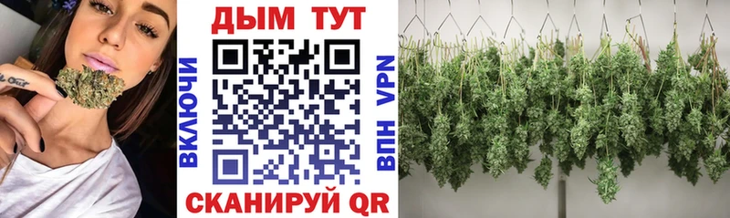 Купить наркотики Тырныауз МАРИХУАНА Альфа ПВП Галлюциногенные грибы Меф ГАШИШ