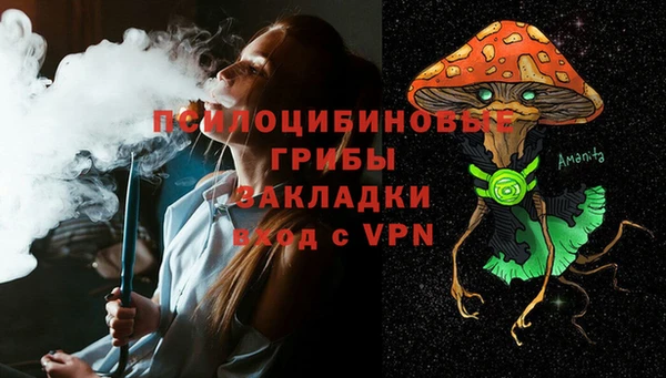 тгк Осинники
