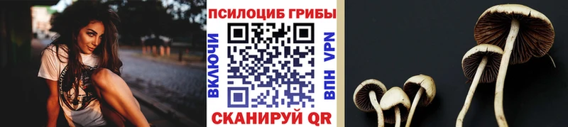 Галлюциногенные грибы мухоморы  дарнет шоп  Тырныауз 